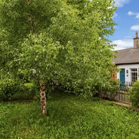 Charming 1bd House In Dublin